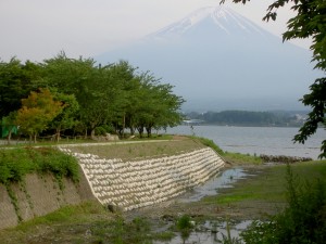 0015-p-西川河川災害復旧工事                                        