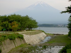 0015-p-西川河川災害復旧工事             